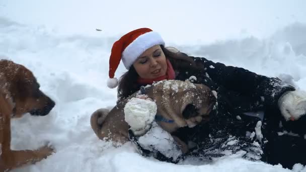 Mops Hund Jultomten Hatt — Stockvideo