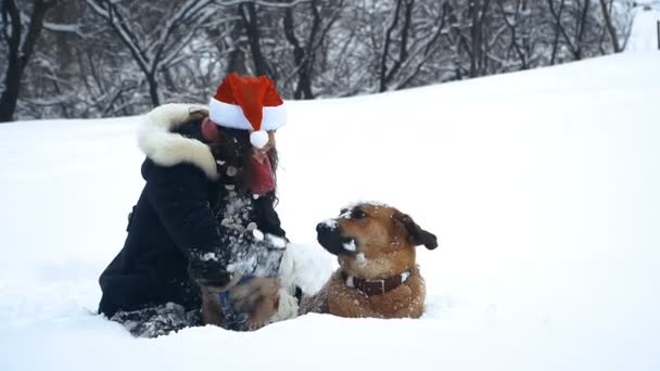 Мопс Собака Санта Клауса Капелюх — стокове відео