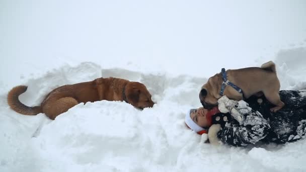 Mops Hund Jultomten Hatt — Stockvideo