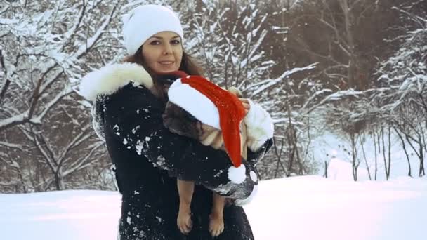 Мопс Собака Шляпе Санта Клауса — стоковое видео