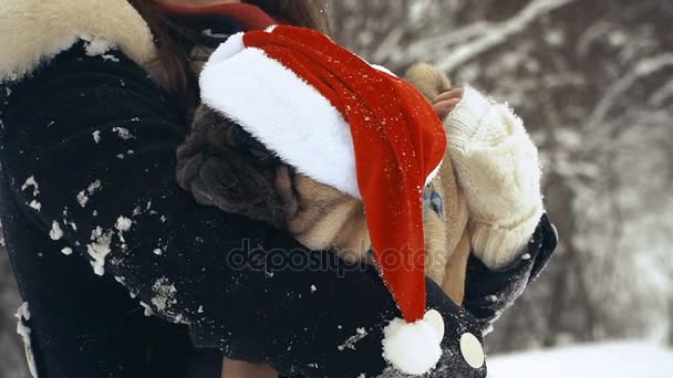 Carlino Cane Con Cappello Babbo Natale — Video Stock