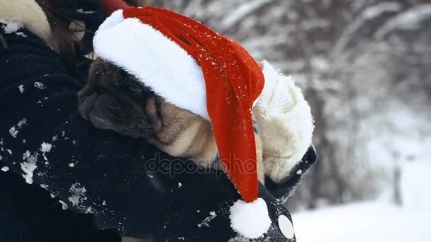 サンタ クロースの帽子をかぶった犬 — ストック動画