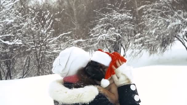 Carlino Cane Con Cappello Babbo Natale — Video Stock