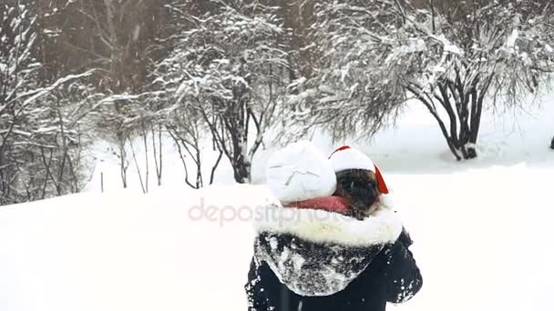 Pug Chien Dans Chapeau Père Noël — Video