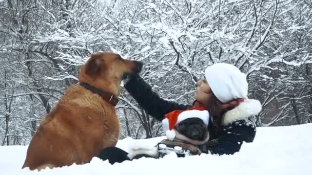 Mops Hund Weihnachtsmann Hut — Stockvideo