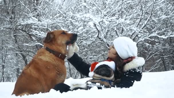 サンタ クロースの帽子をかぶった犬 — ストック動画