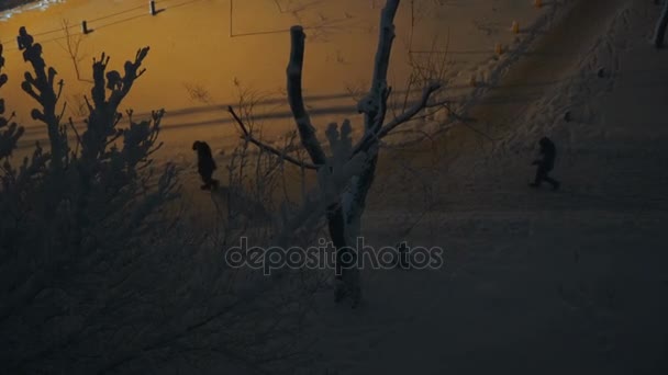 Inverno Cidade Estava Coberta Neve — Vídeo de Stock