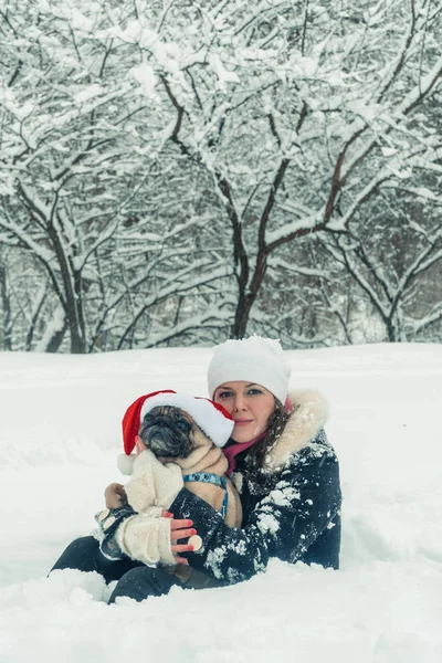 Mopshond. Hond in de Kerstman hoed — Stockfoto