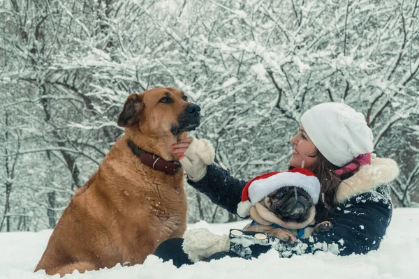 Pug. Cão no chapéu de Papai Noel — Fotografia de Stock