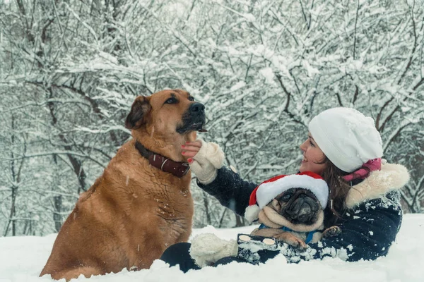 Pug. Cão no chapéu de Papai Noel — Fotografia de Stock