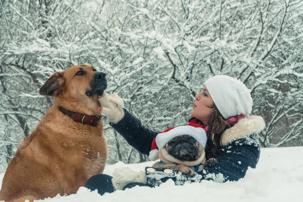 Pug. Cão no chapéu de Papai Noel — Fotografia de Stock