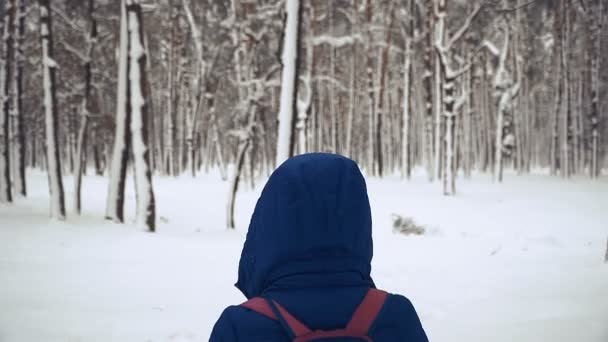 女の子は雪に覆われた森を歩いてください — ストック動画
