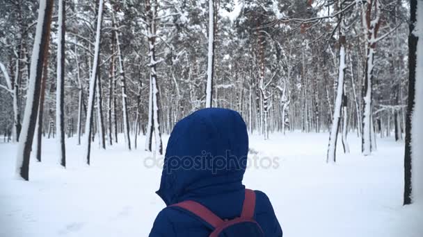 Vintern Tjej Går Snötäckt Skog — Stockvideo