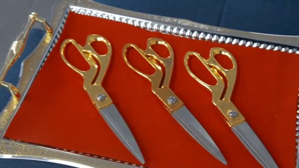 Nożyczki Dla Czerwoną Wstążką — Wideo stockowe