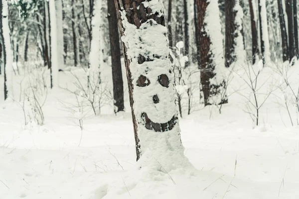 El invierno. Bosque cubierto de nieve de pino —  Fotos de Stock