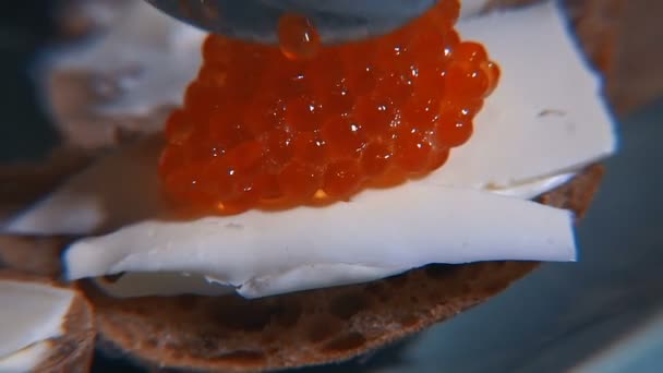 Röd Kaviar Smörgåsar Med Röd Kaviar — Stockvideo