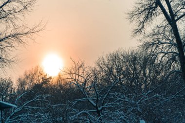 Kış. Günbatımı Kış Doğa arka planı