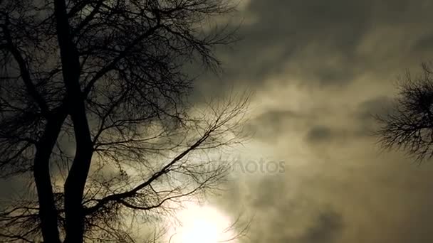 Winter Sonnenuntergang Vor Dem Hintergrund Der Winterlichen Natur — Stockvideo