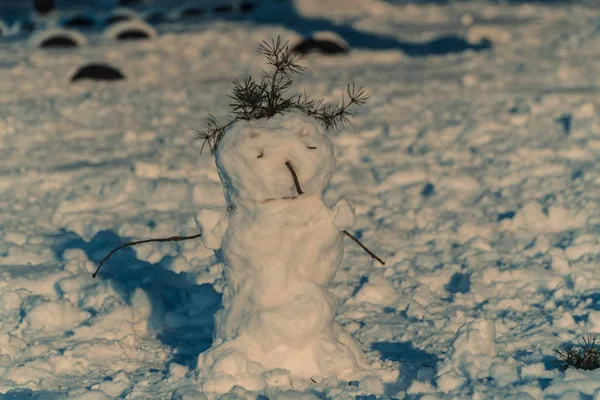 Sneeuwpop. Een triest sneeuwpop staat midden in het bos — Stockfoto