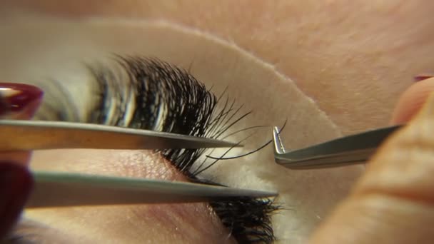 Extension Des Cils Macro Photographie — Video