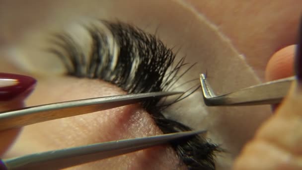 Extension Des Cils Macro Photographie — Video