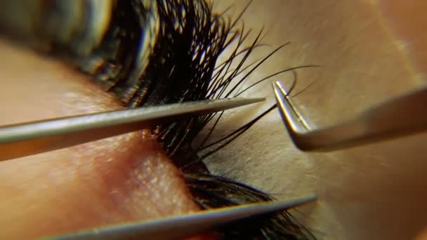 Extension Des Cils Macro Photographie — Video