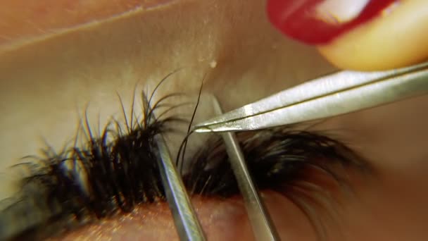 Extension Des Cils Macro Photographie — Video