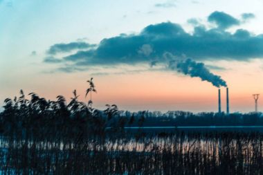 Nehir ve ayarı s arka plan üzerinde dumanlı bitki