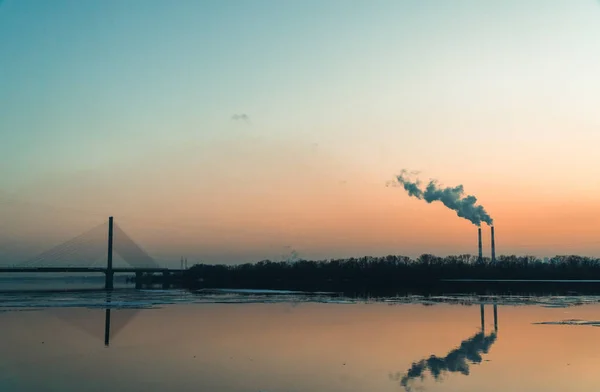 Die rauchige Pflanze auf dem Hintergrund des Flusses und das Setting — Stockfoto