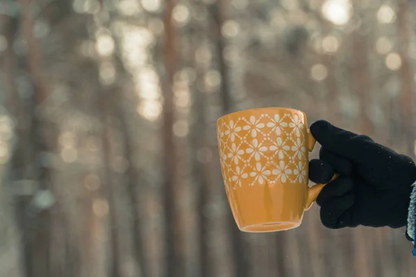 Hot coffee in the winter forest. Girl drinking coffee
