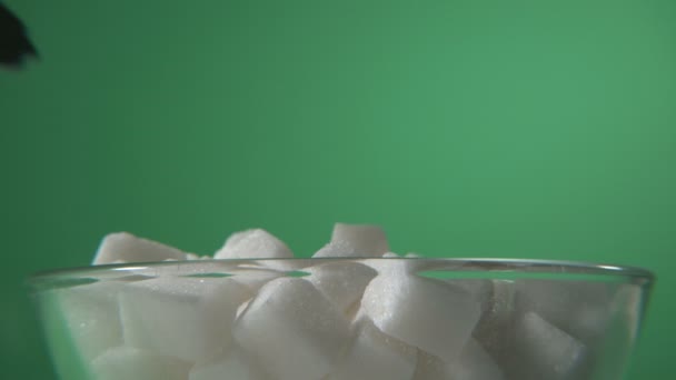 Finomított Cukor Cukor Formájában Kocka — Stock videók