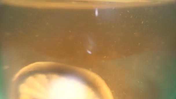 柠檬漂浮在茶中 — 图库视频影像