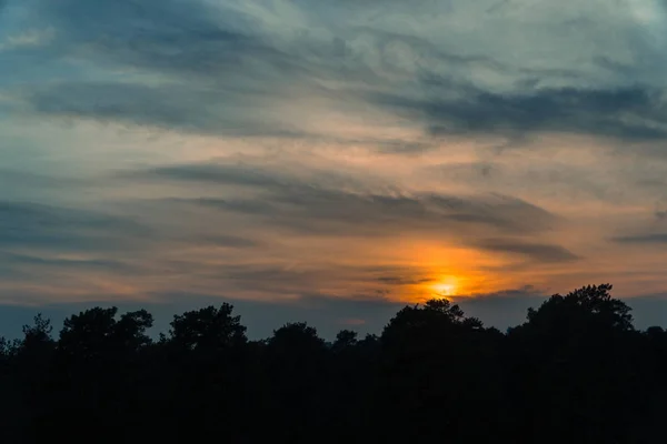 Puesta de sol. Puesta de sol en el fondo de un árbol con pájaros — Foto de Stock