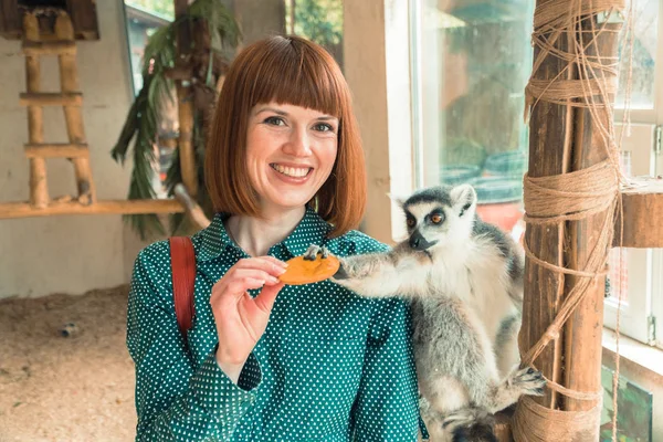 Lemurs. Girl feeds lemurs — Stock Photo, Image