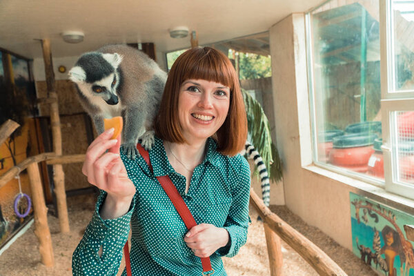 Lemurs. Girl feeds lemurs