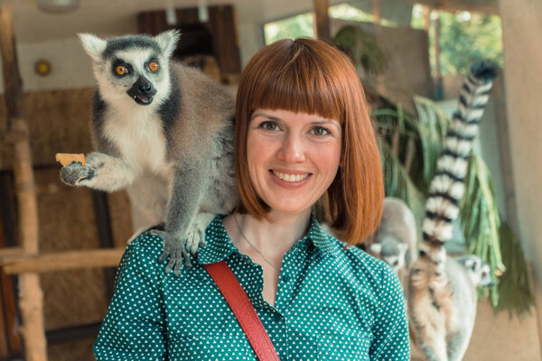 Lemurs. Girl feeds lemurs