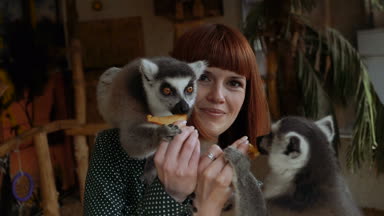 Lemurlar. Kız Lemurlar beslemeleri