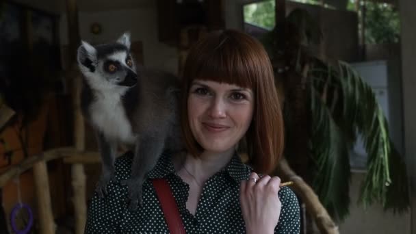 Lemuri Ragazza Nutre Lemuri — Video Stock