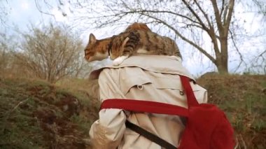 Kedi bir leash üzerinde. Bir kız omuzunda oturur bir kedi ile yürüyor