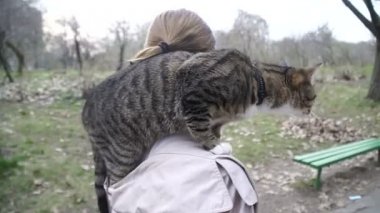 Kedi bir leash üzerinde. Bir kız omuzunda oturur bir kedi ile yürüyor