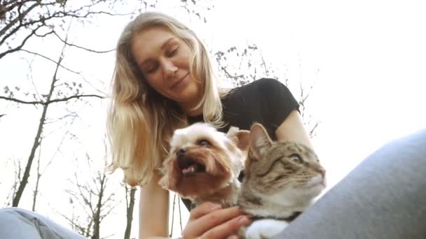 Katze Und Hund Yorkshire Terrier Sitzt Neben Der Katze — Stockvideo