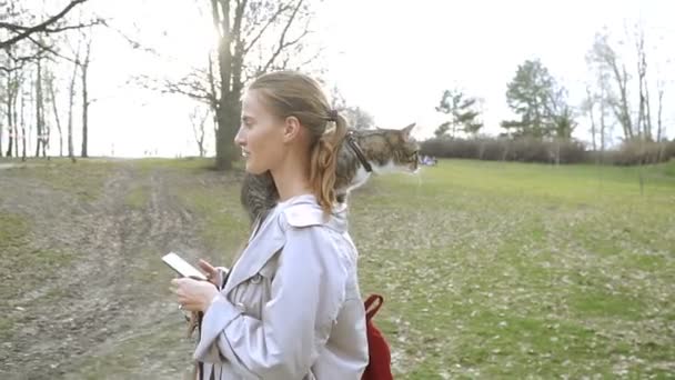 Pisica Lesă Fată Merge Pisică Care Stă Umăr — Videoclip de stoc