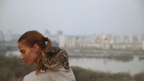 Γάτα Ένα Λουρί Ένα Κορίτσι Είναι Περπάτημα Μια Γάτα Που — Αρχείο Βίντεο