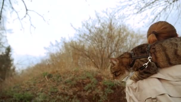 猫在皮带上 一个女孩正带着一只坐在她肩上的猫散步 — 图库视频影像