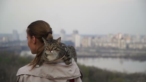 고양이 여자는 그녀의 어깨에 고양이 — 비디오
