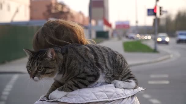 Das Mädchen Überquert Die Straße — Stockvideo