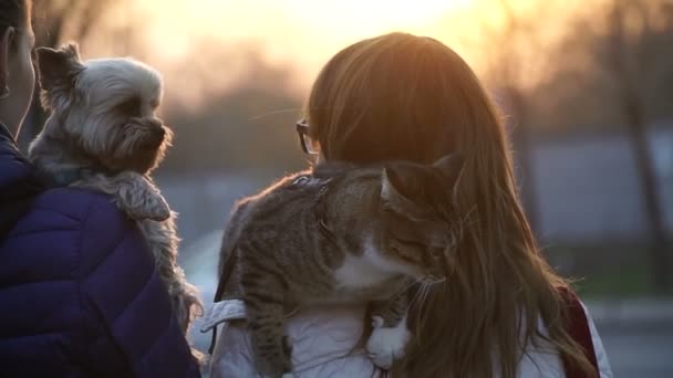 Meisjes Oversteken Met Een Kat Een Hond — Stockvideo
