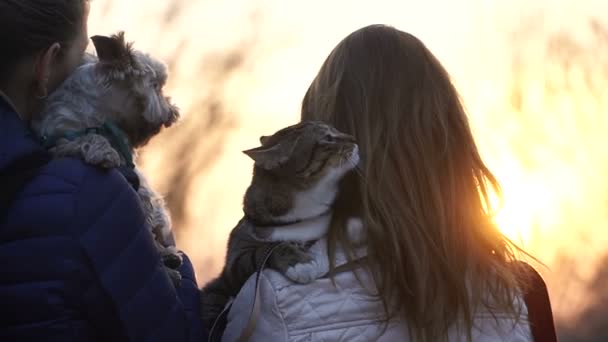 Meninas Cruzam Estrada Com Gato Cão — Vídeo de Stock
