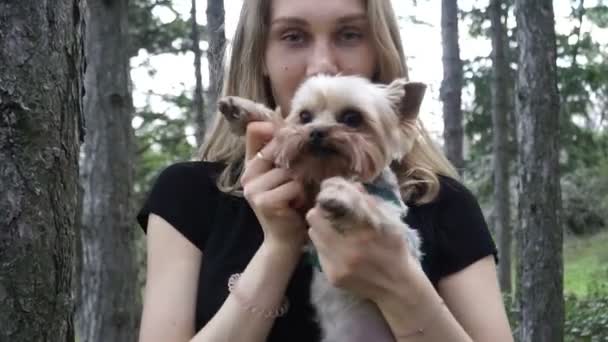 Yorkshire Terrier Menina Abraçando Uma Raça Cães Yorkshire Terrier — Vídeo de Stock