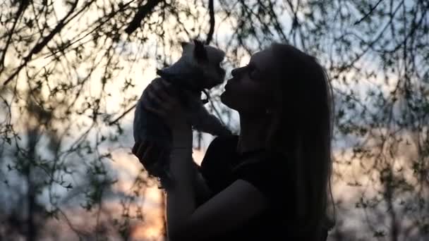 ヨークシャー テリア 犬種ヨークシャー テリアを抱いて女の子 — ストック動画